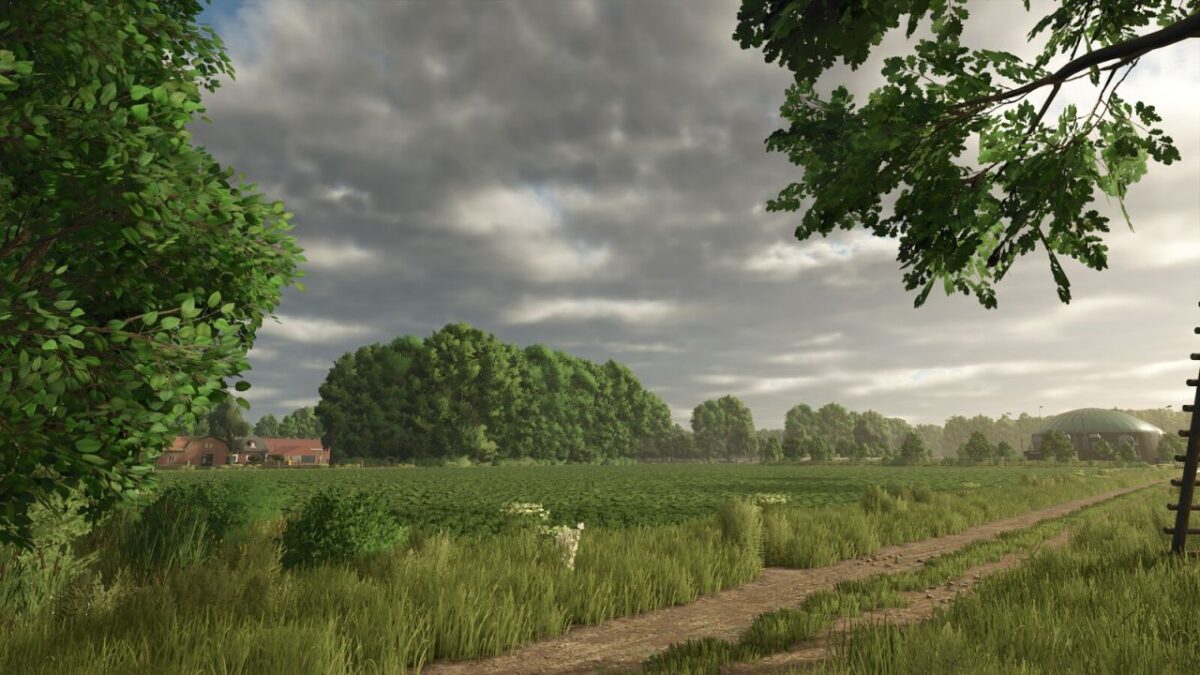 Diepholz 25 Map v 1.0.0.1