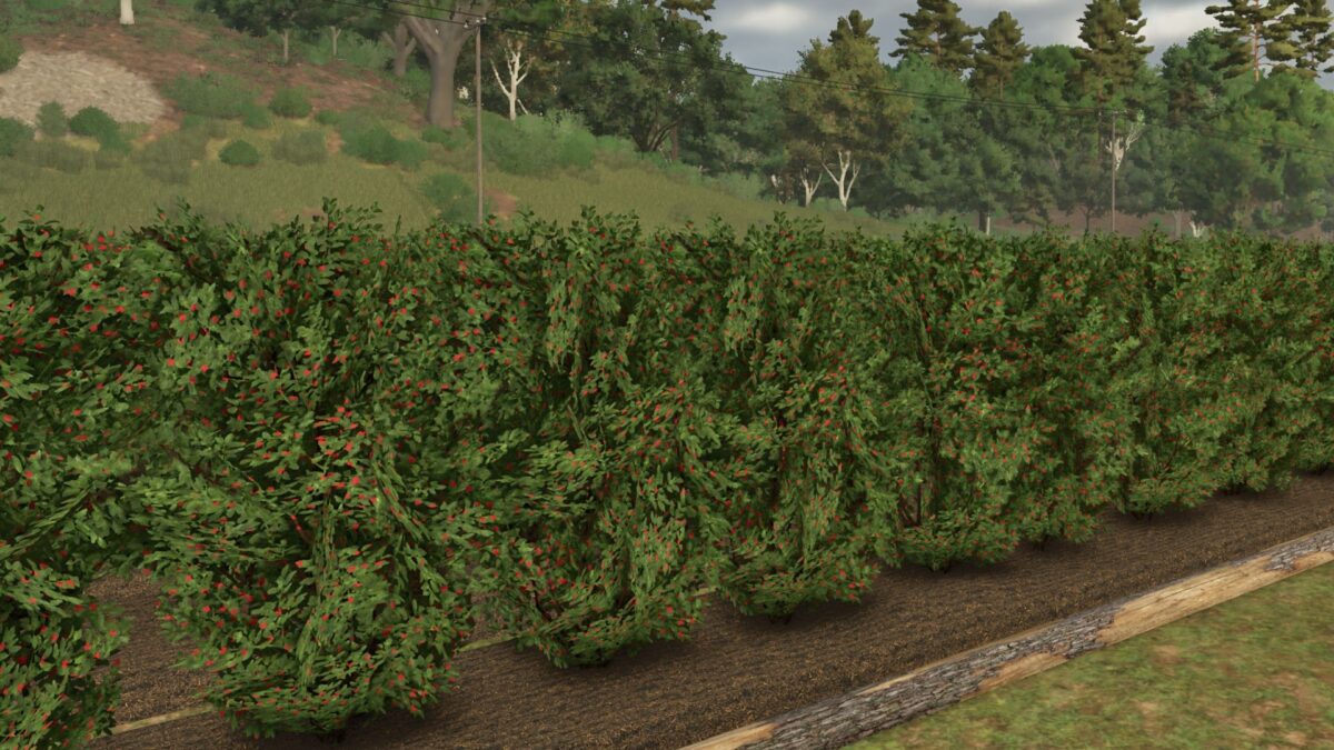 Fruit Orchards v 1.2.0.6