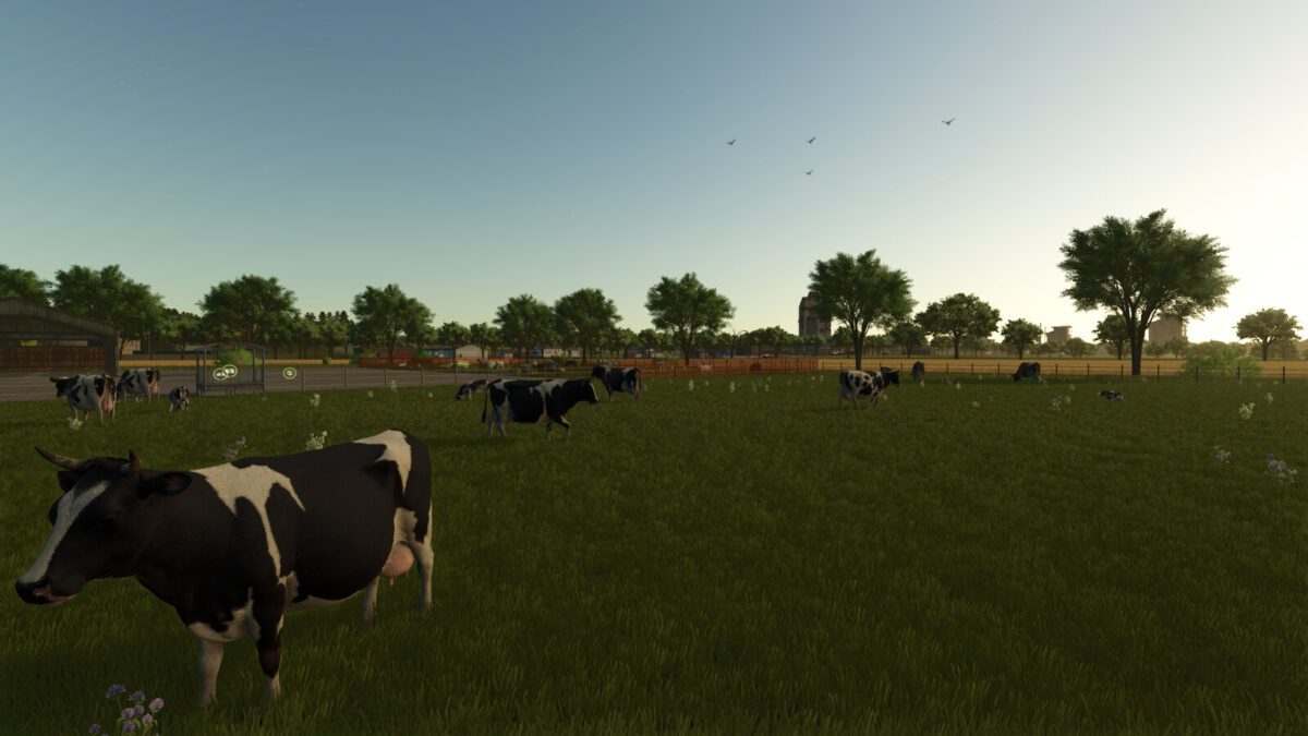 The Elm Rochester Map v 1.0