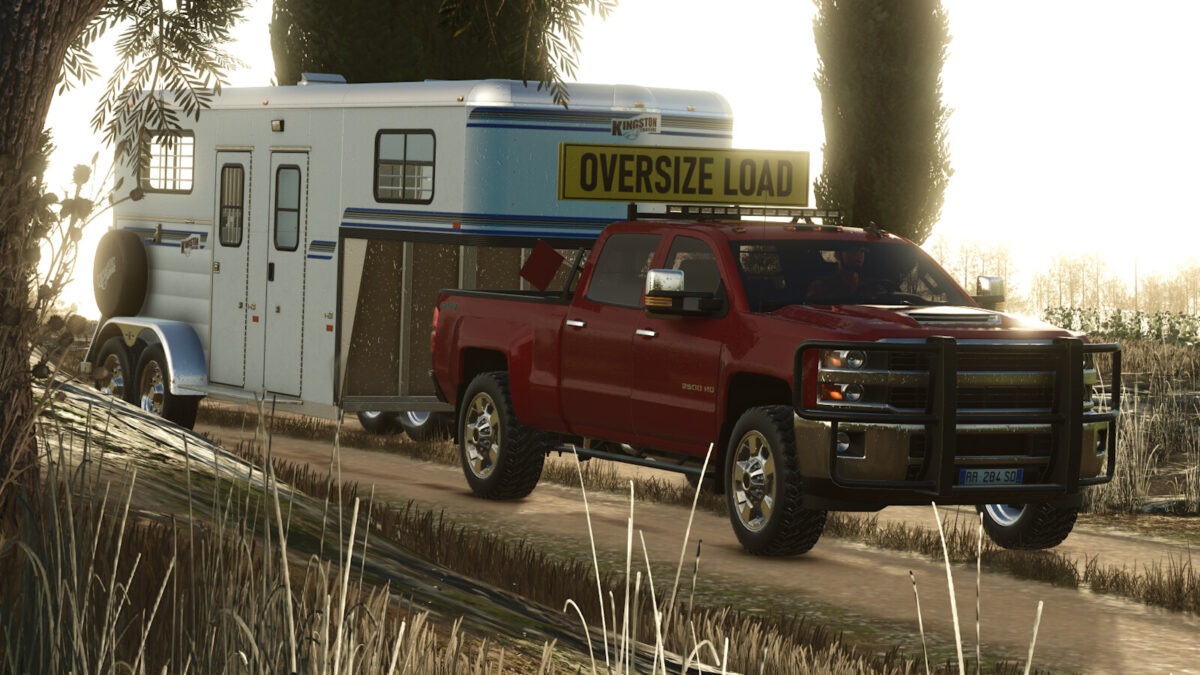 Lizard Silver 2500 v 1.0