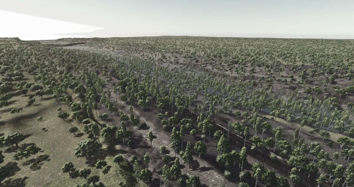 Old Lake Providence Forest Map v 0.0.0.1