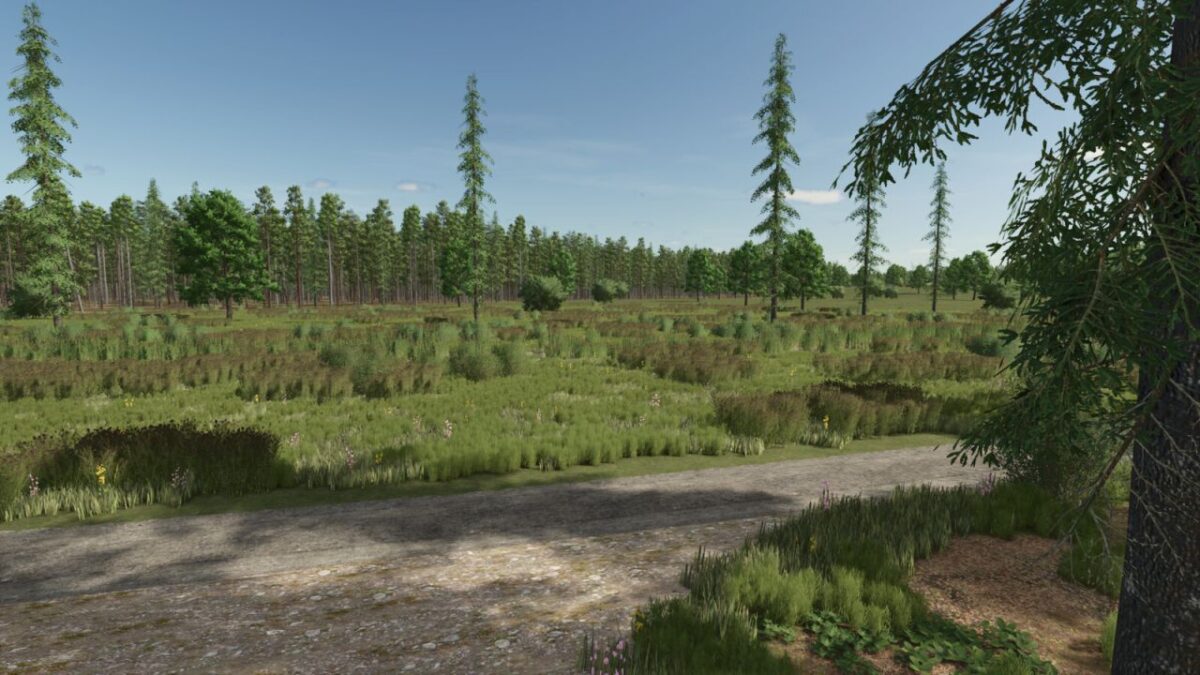 Sunshine Forest Map v 1.0.0.6
