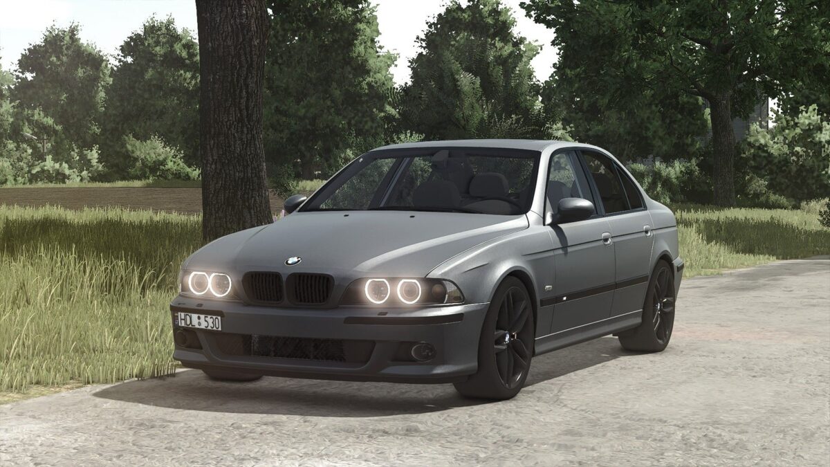BMW E39 530D v 1.4