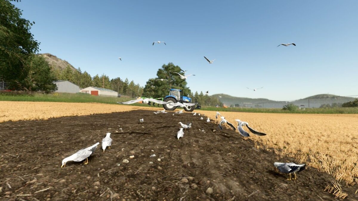 Field Gulls v 1.0