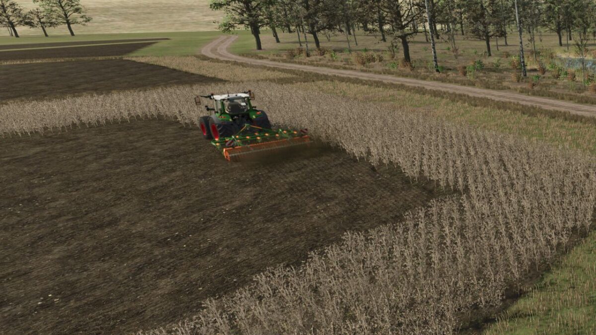 Neighbors on the Fields v 1.0