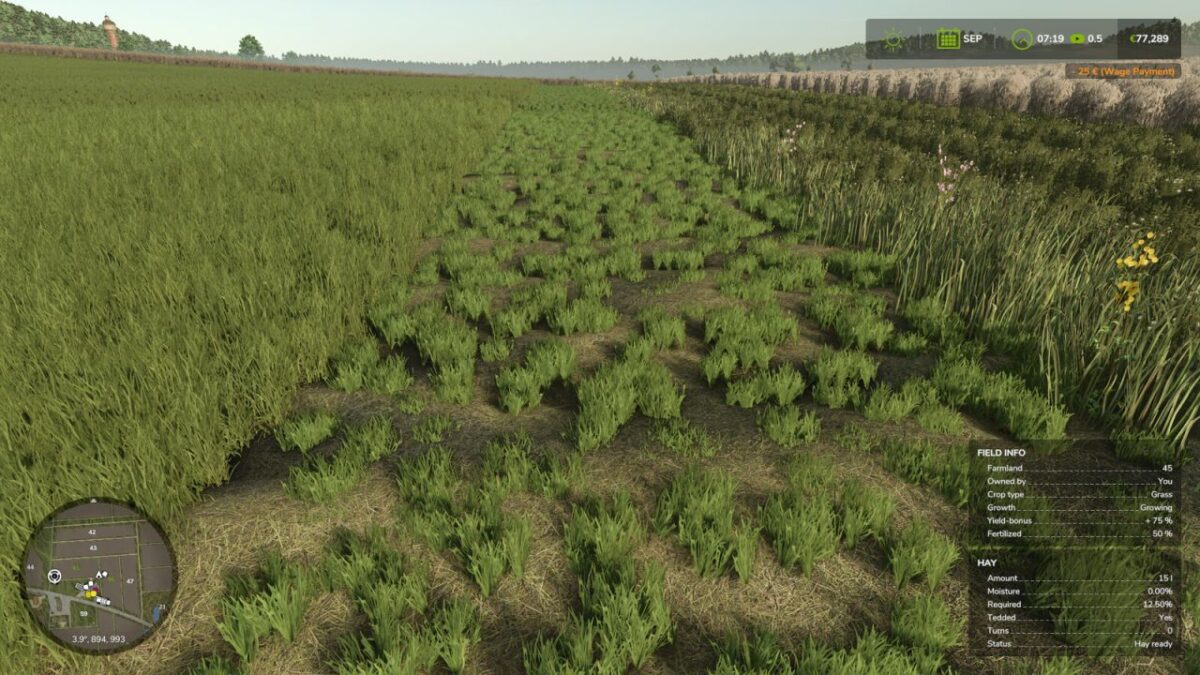 Advanced Hay Drying v 1.0