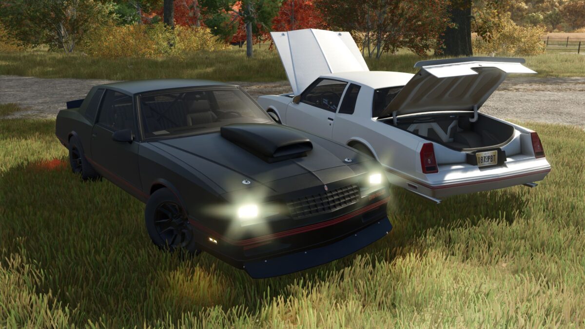 1987 Chevrolet Monte Carlo v 1.1