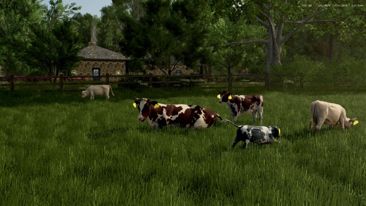 Cow Breeds (RLRM) v 1.0