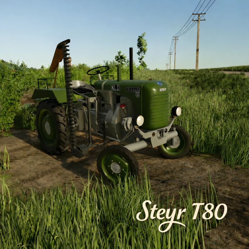 Steyr T80 v 2.0.0.6