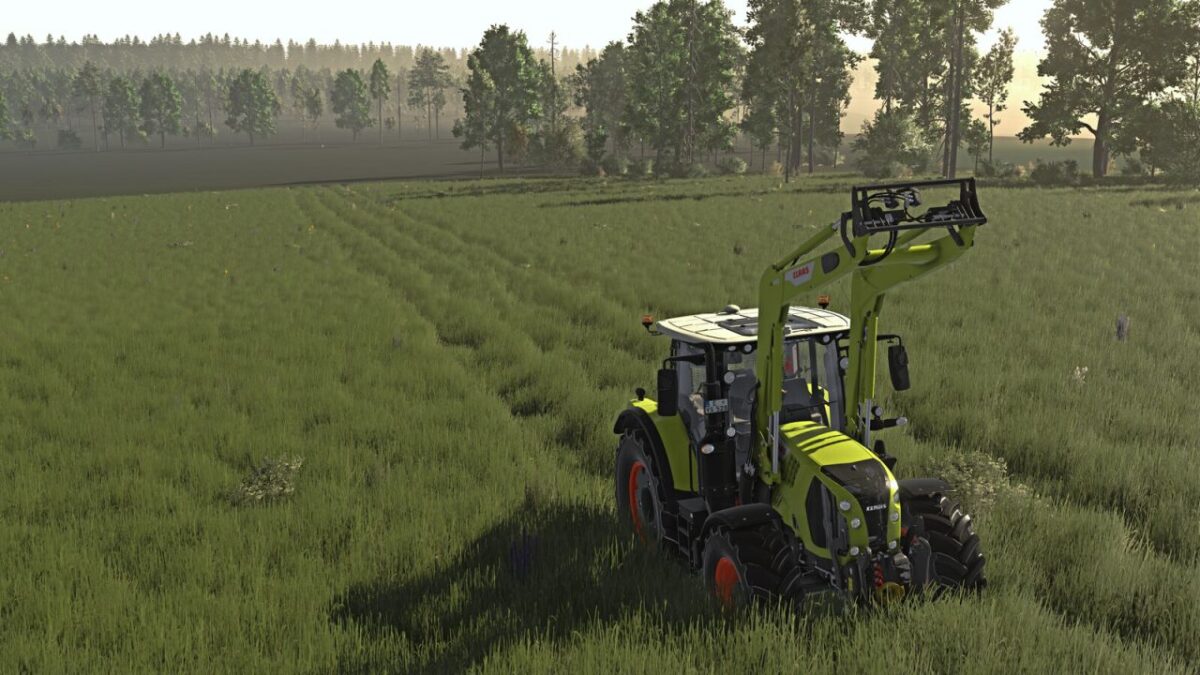 Crop Destruction Outside Fields v 1.0