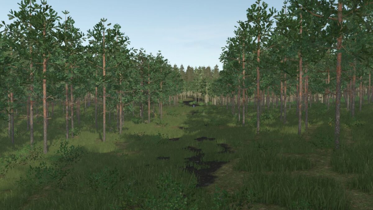 Pinewood Forest Next Generation Map v 1.0