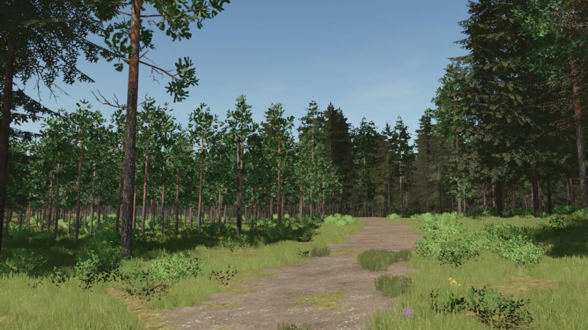 Pinewood Forest Next Generation Map v 1.0