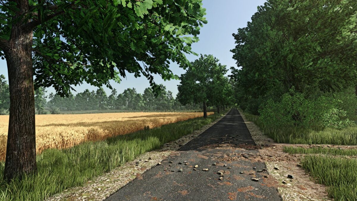 FS Realistic Shader v 2.1