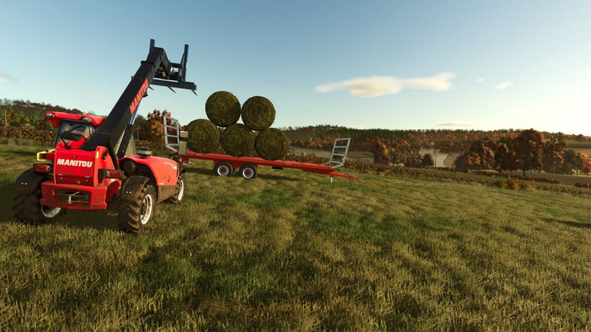 Bale Physics Stabilizer v 1.0