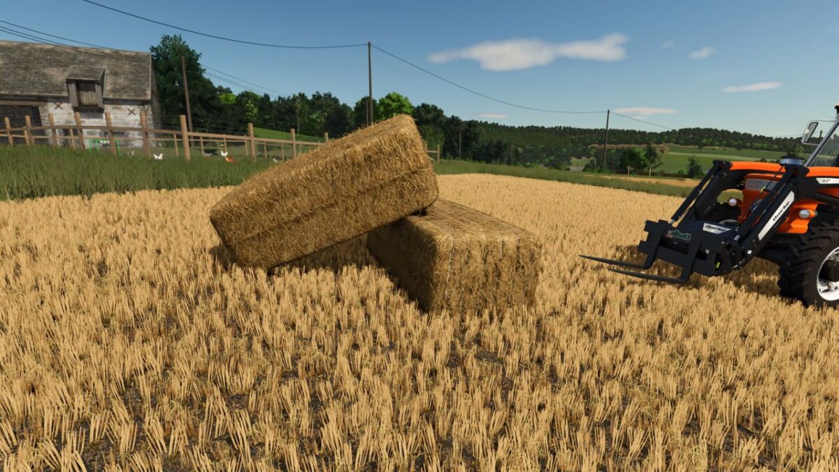Bale Physics Stabilizer v 1.0