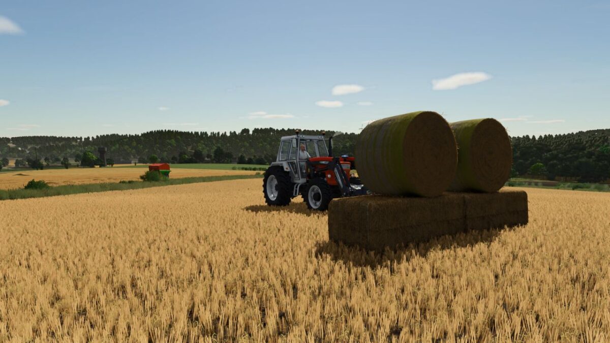 Bale Physics Stabilizer v 1.0