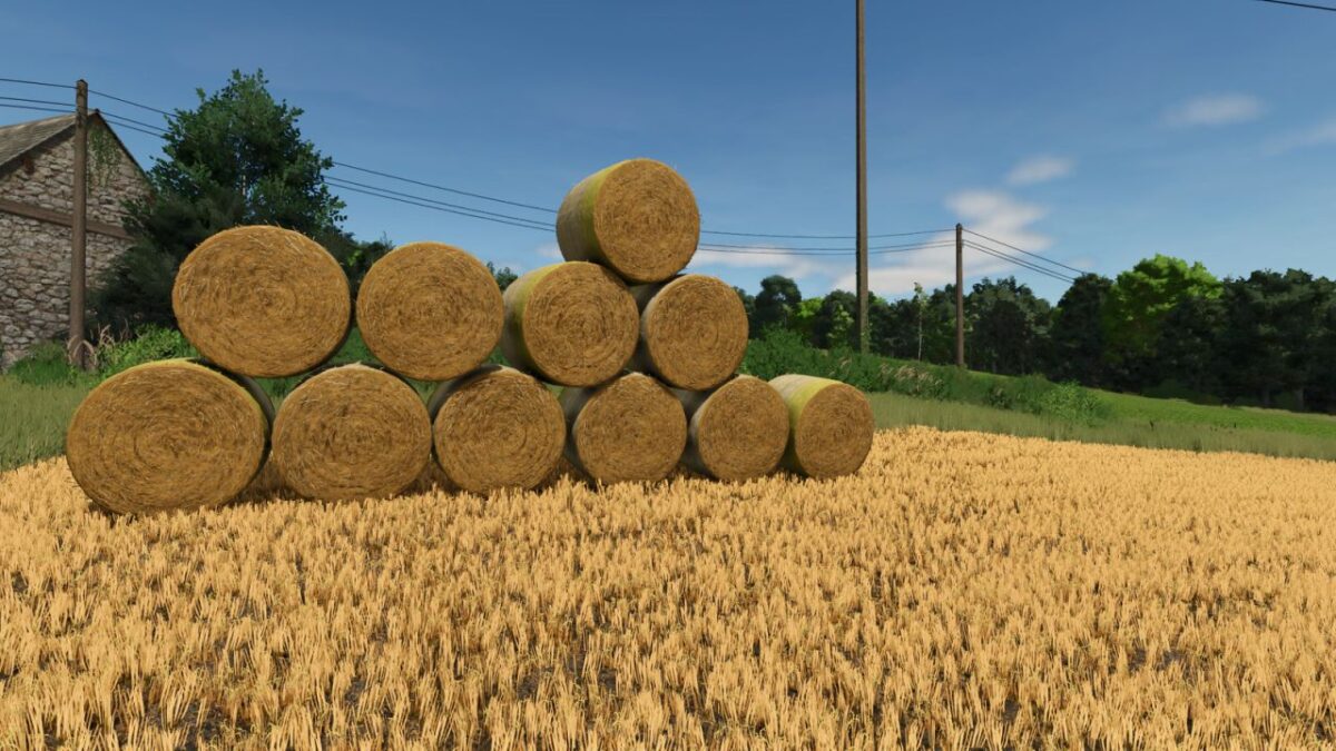 Bale Physics Stabilizer v 1.0