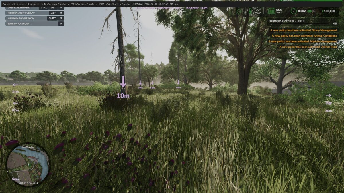 Deadwood Pointer v 1.0