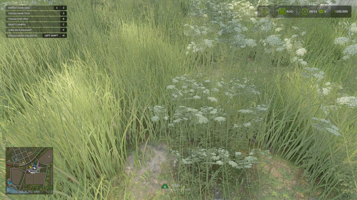 Grass Collection v 1.0