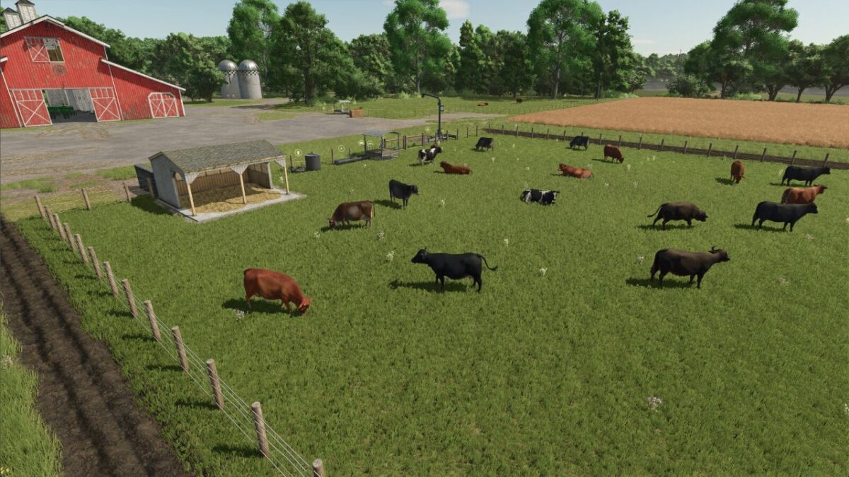 High Capacity Cow Pasture v 1.0