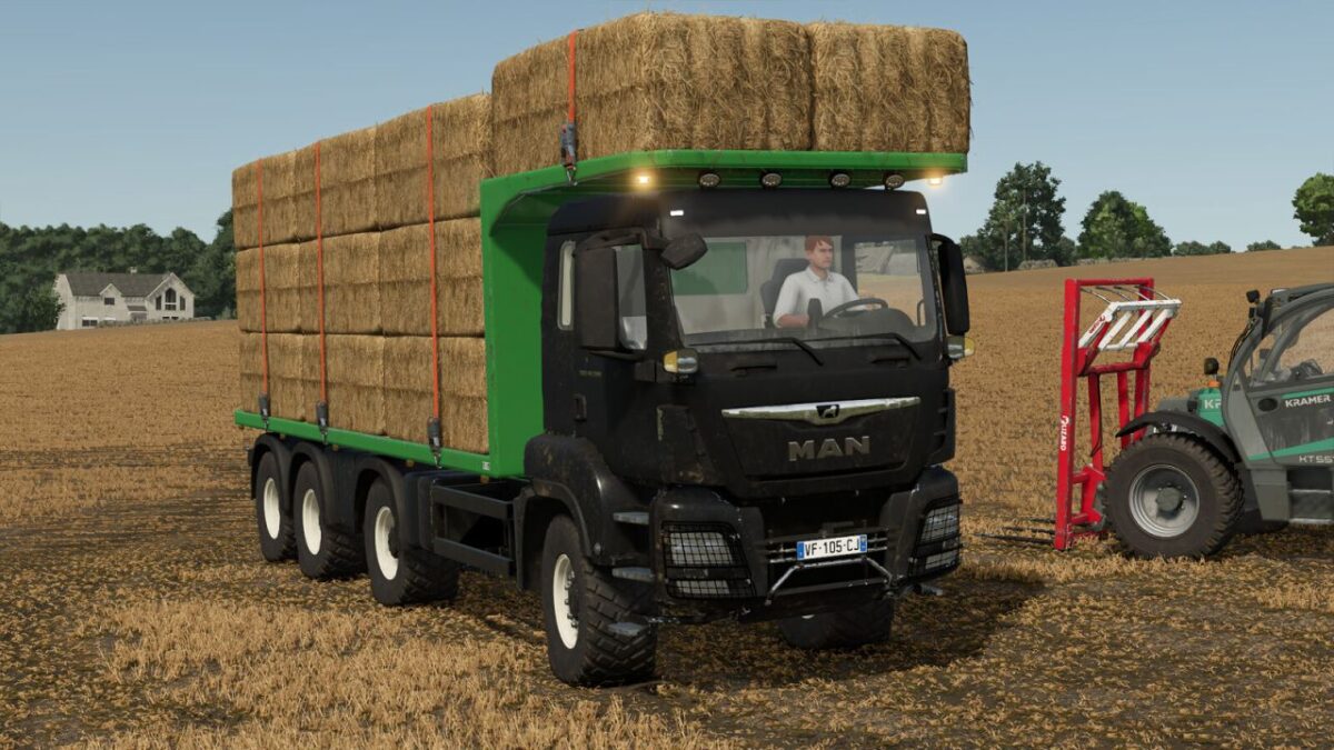 MAN TGS 18.500 Flatbed Truck v 1.5.0.1