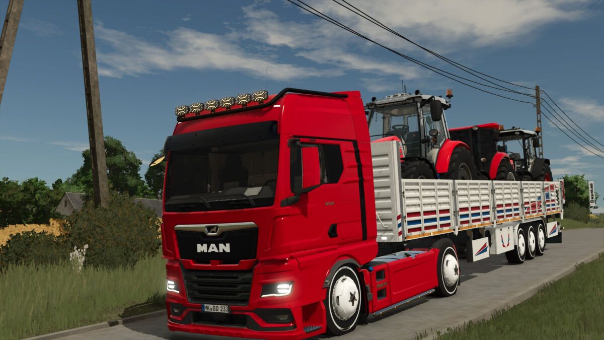 MAN TGX 2020 v 1.0