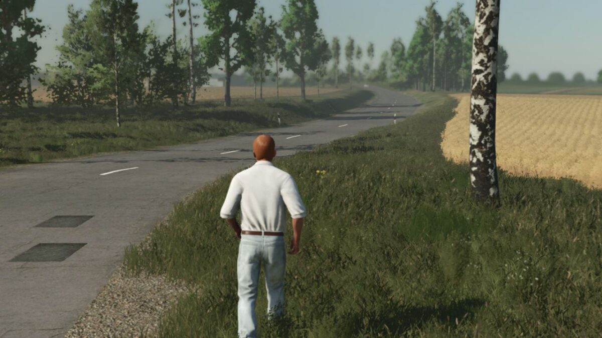 Player Movement Fix v 1.0.0.1
