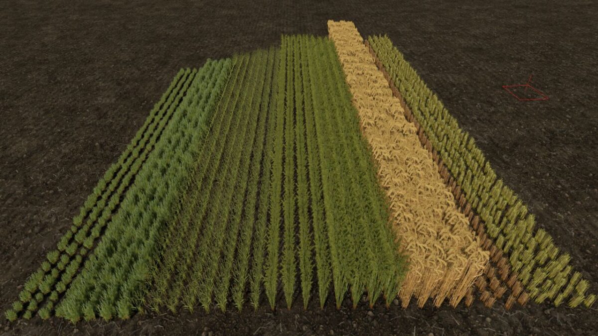 Row Seeding Barley, Oat, Wheat, Canola (Prefab) v 1.1