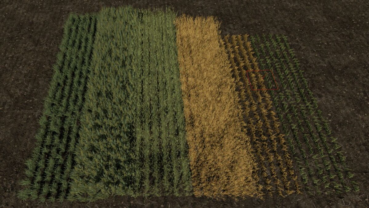 Row Seeding Barley, Oat, Wheat, Canola (Prefab) v 1.1