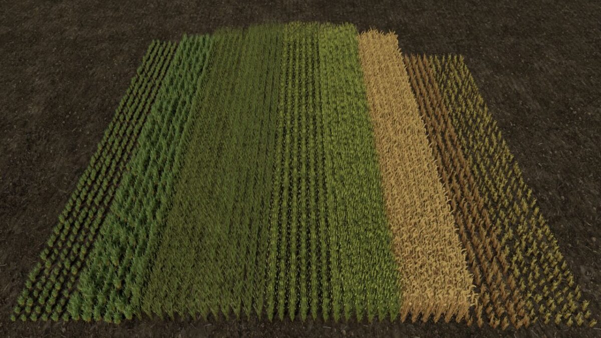 Row Seeding Barley, Oat, Wheat, Canola (Prefab) v 1.1