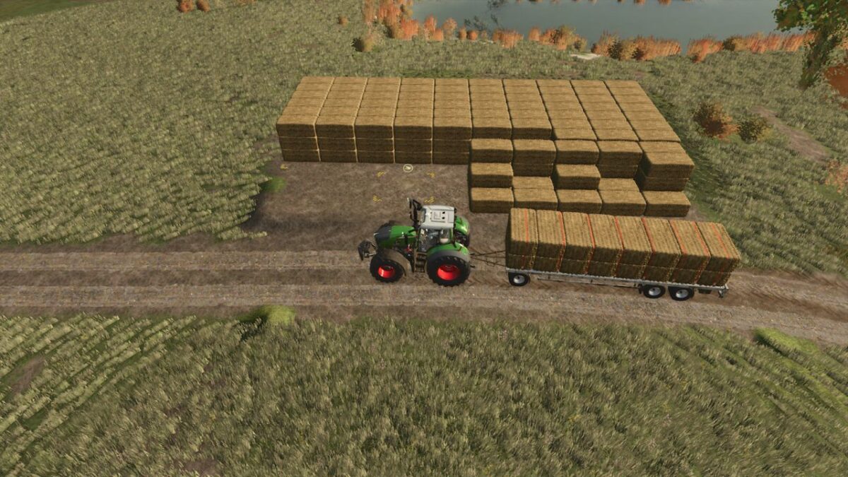 Automatic Bale Storage v 1.0.0.3