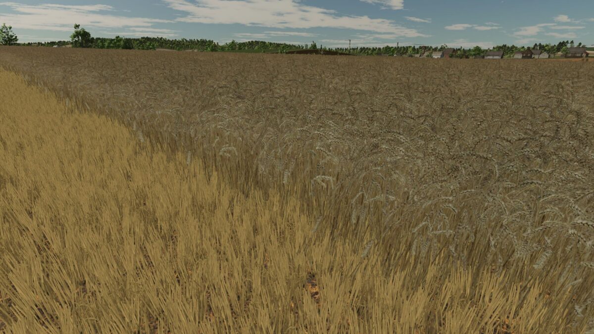 Realistic Texture of Ripe Wheat v 1.0