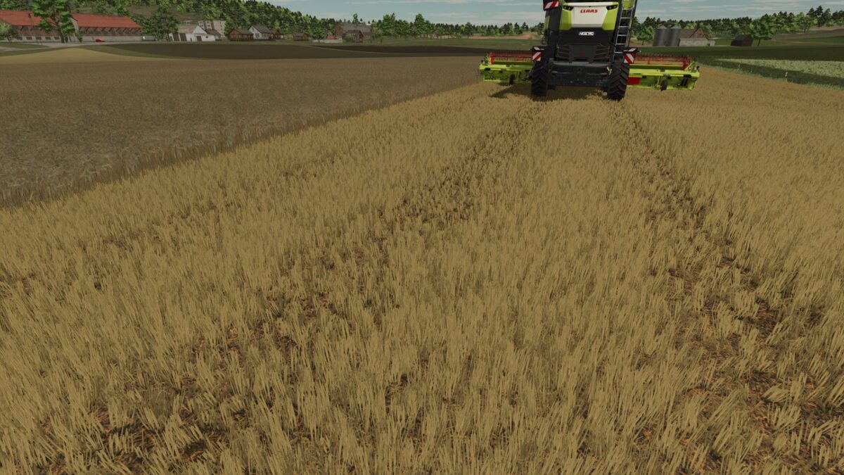 Realistic Texture of Ripe Wheat v 1.0