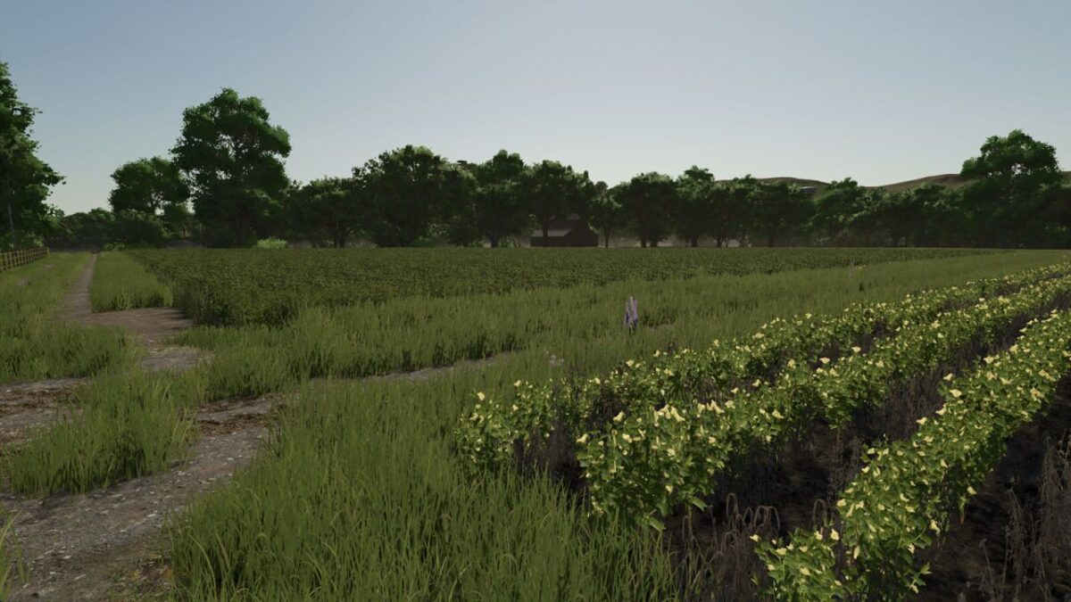 Repopulate Fields v 1.0.1.0