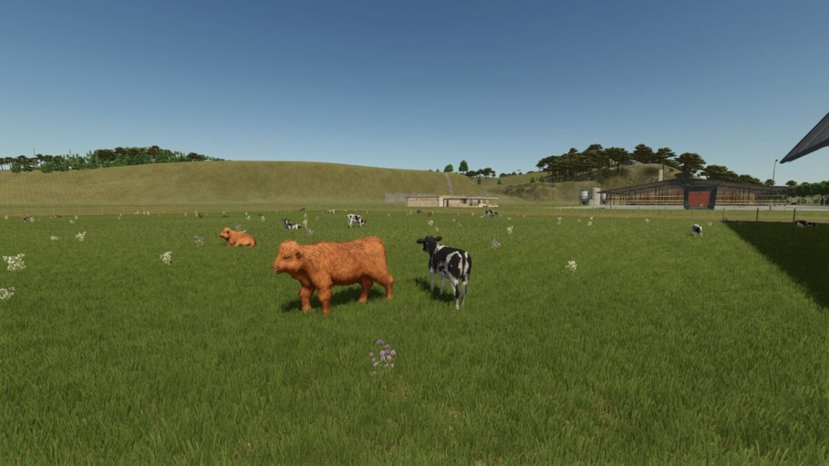 Store Front Stable Options for Husbandry v 1.0