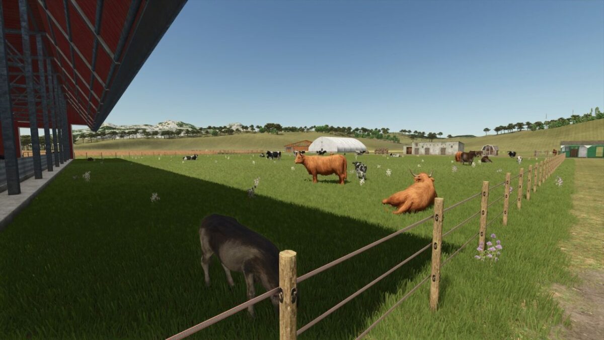 Store Front Stable Options for Husbandry v 1.0