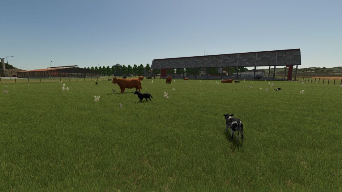 Store Front Stable Options for Husbandry v 1.0