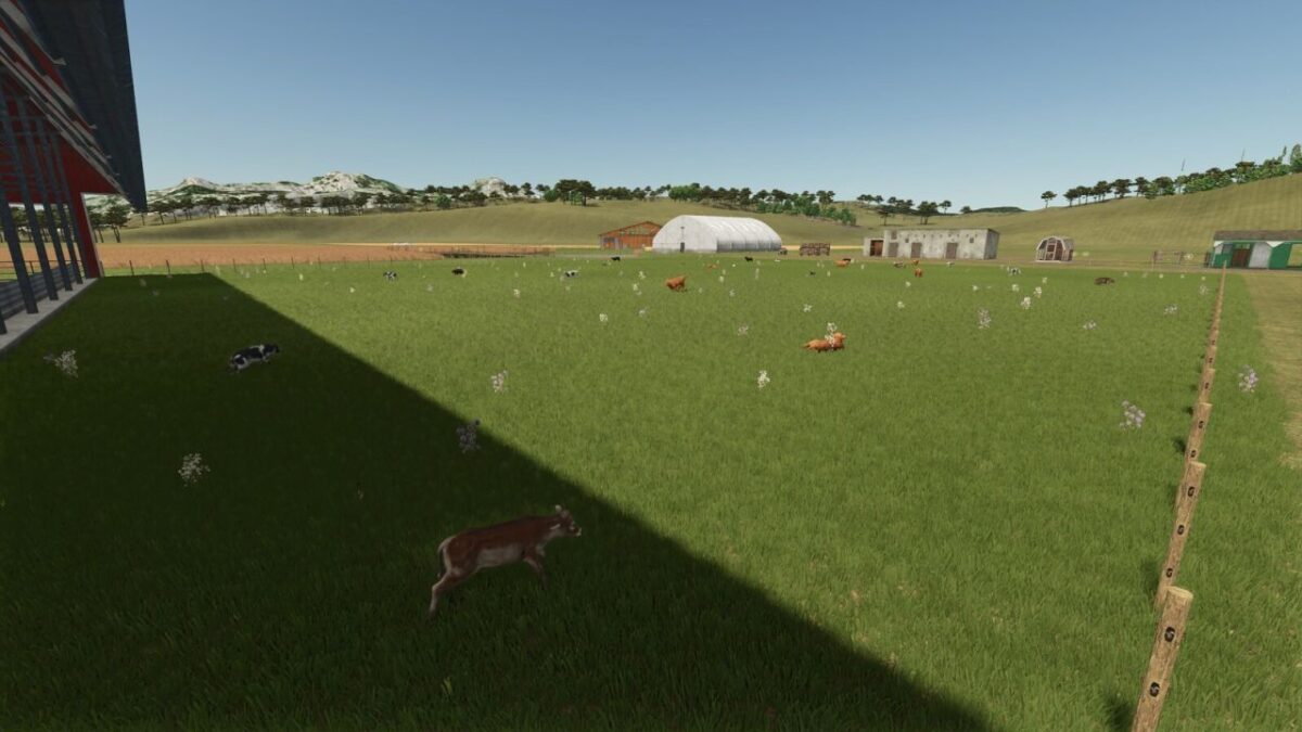 Store Front Stable Options for Husbandry v 1.0