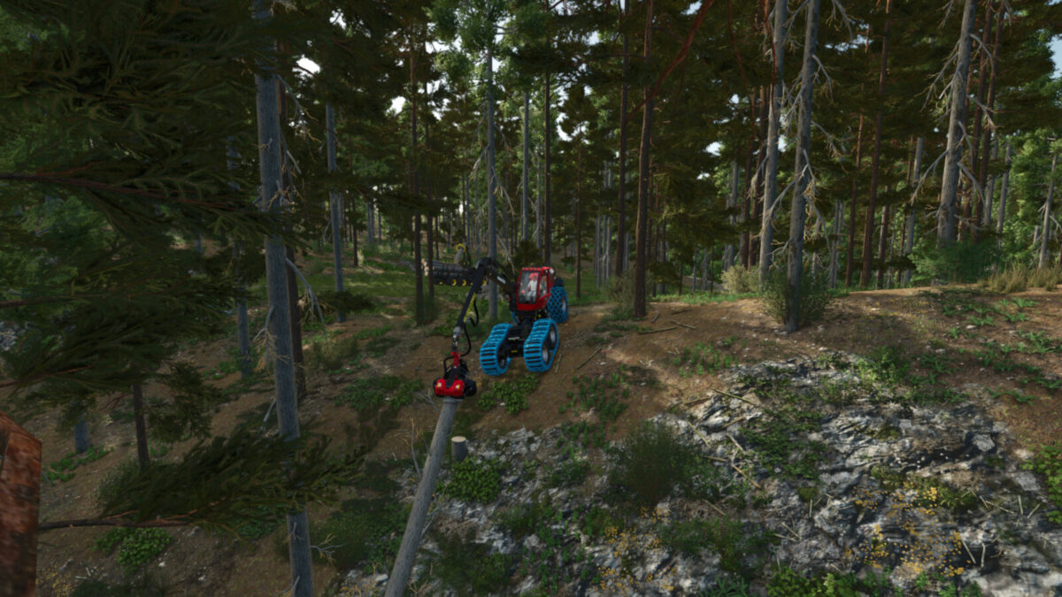 Lieshof 4x Map v1.0.0.0
